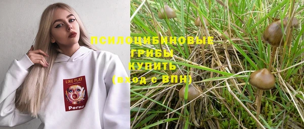 дурь Лабытнанги