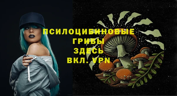 дурь Лабытнанги