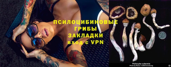 герыч Ладушкин